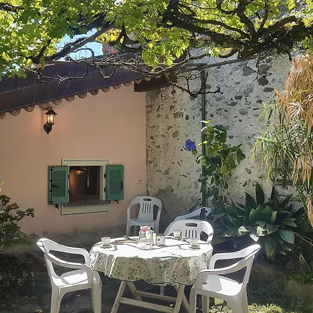 Cortiletto - A Flowery Patio A Walk From The Lake Belgirate